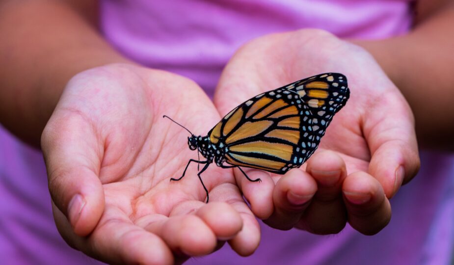 children and nature