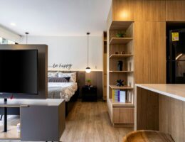 Modern studio apartment featuring smart storage solutions, multifunctional furniture, and stylish decor.