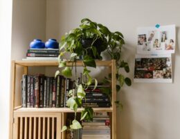 A bookshelf with books, decorative plants, and a collage on the wall, showcasing a cozy and personalized living space