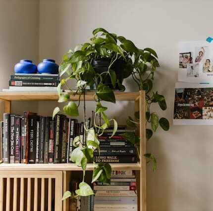 A bookshelf with books, decorative plants, and a collage on the wall, showcasing a cozy and personalized living space