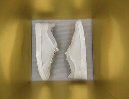 Shoes in a box