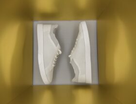 Shoes in a box