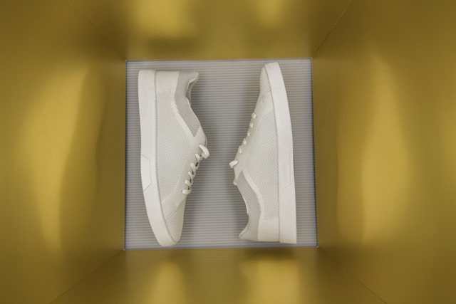 Shoes in a box